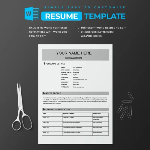 Simple Modern Resume Template